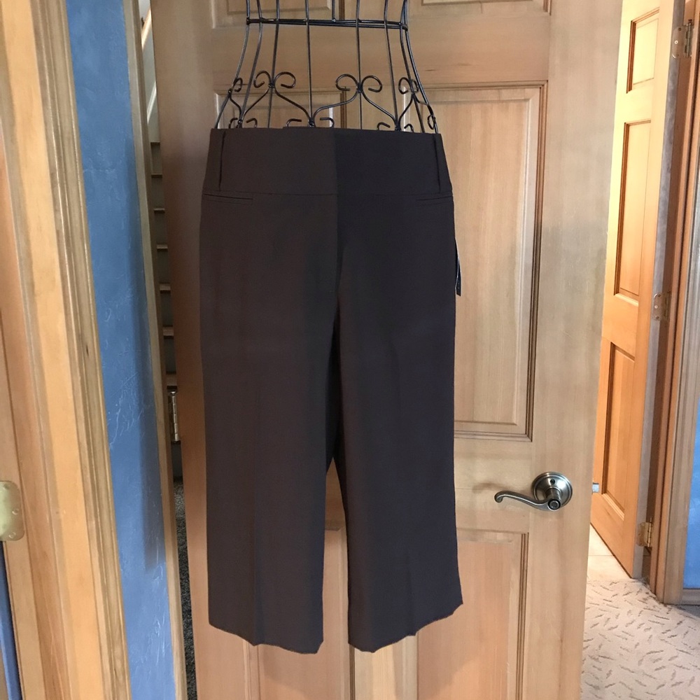 Work style capris